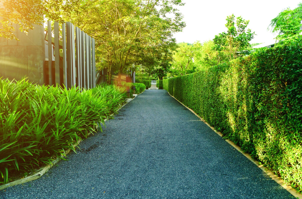 The road in the garden of the house entrance, The road beside the house, In the green lawn in front of the house for the backdrop.